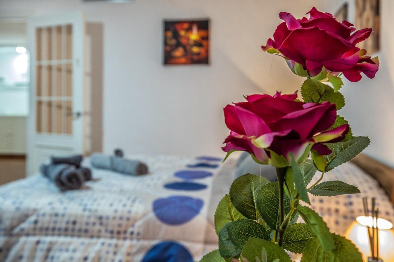 La Perla Del Centro Daire Cordoba Dış mekan fotoğraf